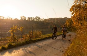 Das Weinviertel mit dem Rad erkunden, © Thermenresort Laa / Manuel Unger