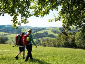 Wanderung über die Wiese, © Mostviertel - Sonntagbergweg