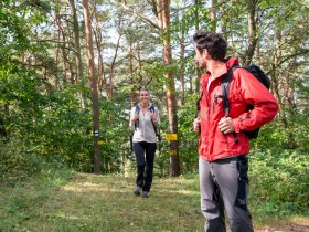 Wandern im Südlichen Waldviertel, © Waldviertel Tourismus, Studio Kerschbaum