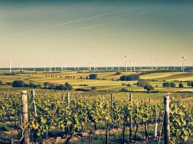 Hundsheimer Berge Tour: Variante Hundsheim, © Donau Niederösterreich - Tourismusbüro Carnuntum-Marchfeld