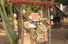 Building an insect hotel during a holiday fun session in the Nature Park., © Naturpark Geras