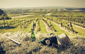 Weinberg mit Strohhut, Flasche und Handschuhen im Vordergrund, Landschaft im Hintergrund., © Donau Niederösterreich, Andreas Hofer