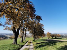 Herbstliche Landschaften, © Brigitte Hofschwaiger