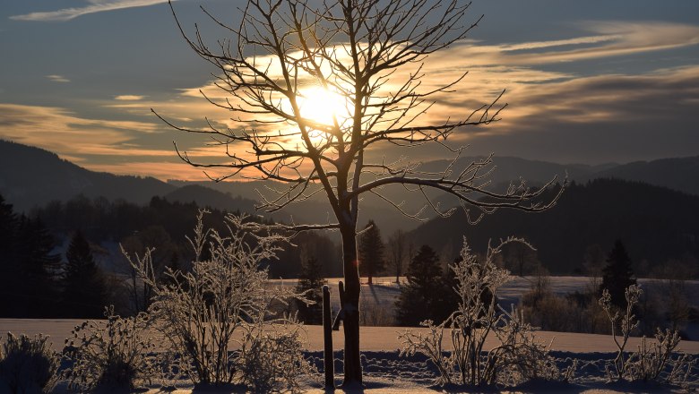 Abendstimmung Höbarten, © Fam. Winter