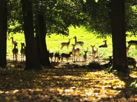 Naturpark Geras, © © POV