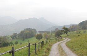 am Weg nach Rehgras, © Wienerwald