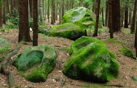 Platz des Skorpions in Kautzen, © Gerhard Wanko