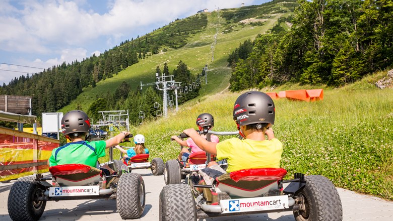 Mountaincarts, © Lindmoser