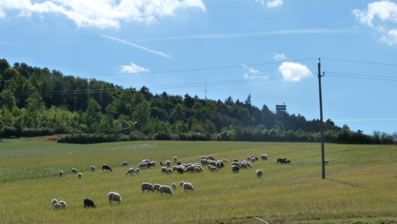 Ansicht Oberleiser Berg, © Geistliches Jugendzentrum Oberleis