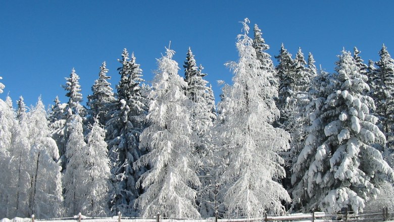 Naturpark Hohe Wand, © Naturpark Hohe Wand