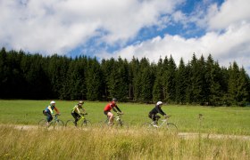 MTB Waldviertel, © Waldviertel Tourismus