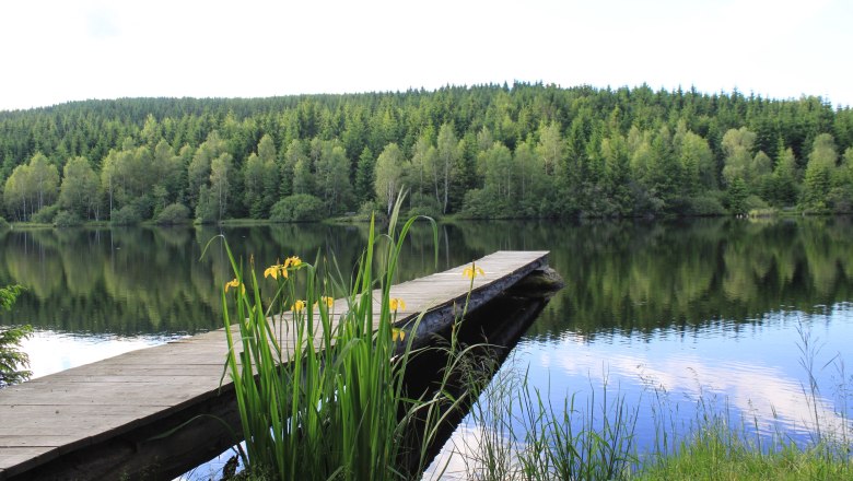 Schlesingerteich, © Tourismusverein Bärnkopf