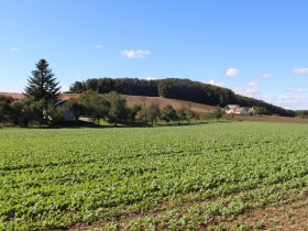 vorbei an Waldviertler Gehöften, © Gemeinde Jaidhof