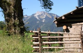 Prealps, © Naturpark Eisenwurzen