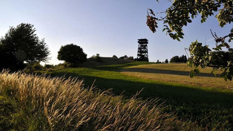 Aussichtsturm Oberleis, © Weinviertel Tourismus / Mandl