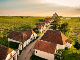 Kellergasse Zellerndorf, © Weinviertel Tourismus / POV Robert Herbst