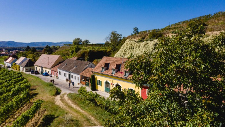 Kellergasse in Rohrendorf, © Doris Schwarz-König