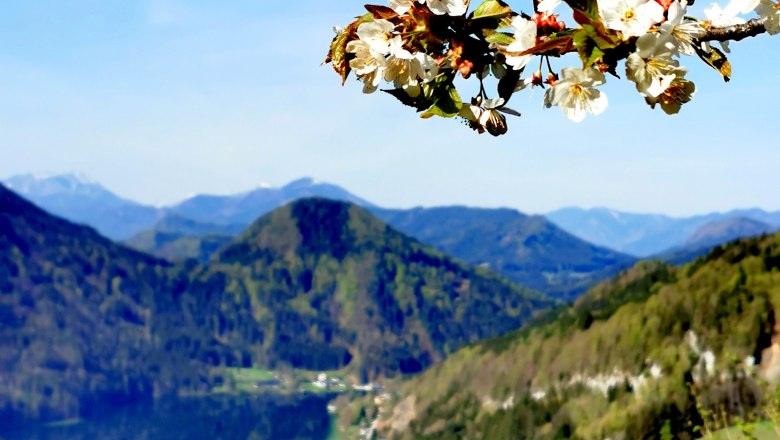 Wanderung auf den Maiszinken, © Werner Schrittwieser