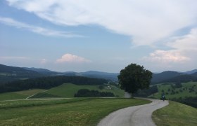 Triesting Gölsental Radweg, © Mostviertel Tourismus