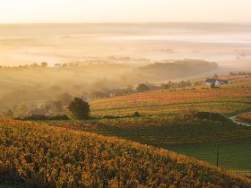 BERNSTEIN TRAIL Ostroute | Genusswandern zwischen Alpen und Puszta, © BURGENLAND