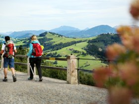 Am Sonntagberg, © Mostviertel - Sonntagbergweg