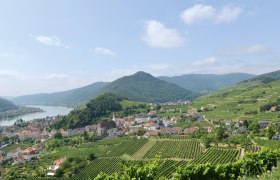 Spitz in der Wachau, © Donau Niederösterreich/Steve Haider