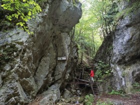 Start der Steinwandklamm, © Wienerwald Tourismus GmbH_Christian Handl