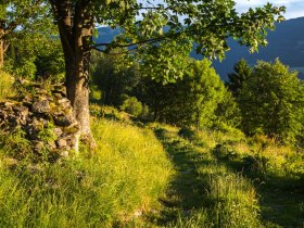 Weitwanderweg, © Wiener Alpen in Niederösterreich