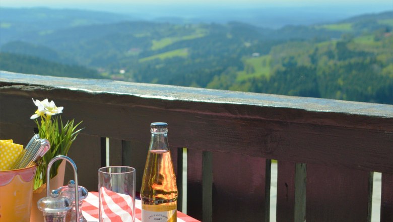 Essen auf der Terrasse mit Ausblick., © Anna Müllner