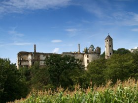 Burgruine Hohenegg, © Franz Weinhofer