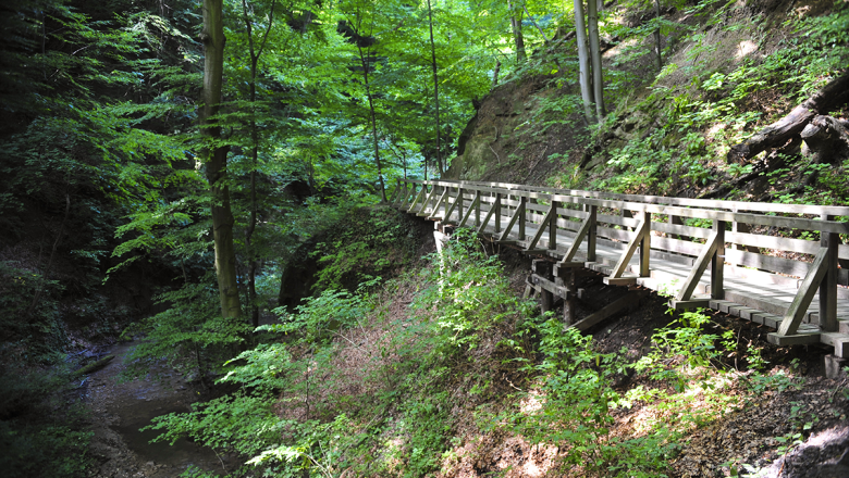 Hagenbachklamm im Eichenhain, © Naturparke Niederösterreich/Robert Herbst