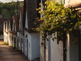 Kellergasse Falkenstein, © Michael Reidinger