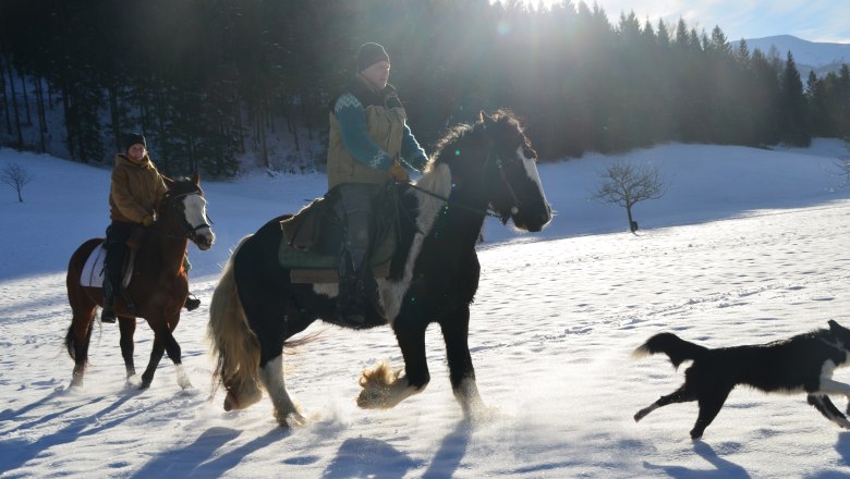 Horse riding farm "Maho", © MAHO