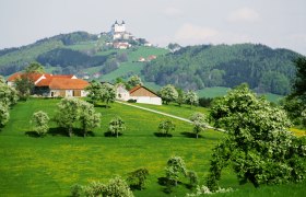 Blick in Richtung Basilika Sonntagberg, © weinfranz.at