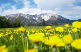 Schneeberg (c) Franz Zwickl, © Wiener Alpen in Niederösterreich