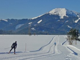 Langlaufen am Fuße der Gemeindealpe, © Fred Lindmoser