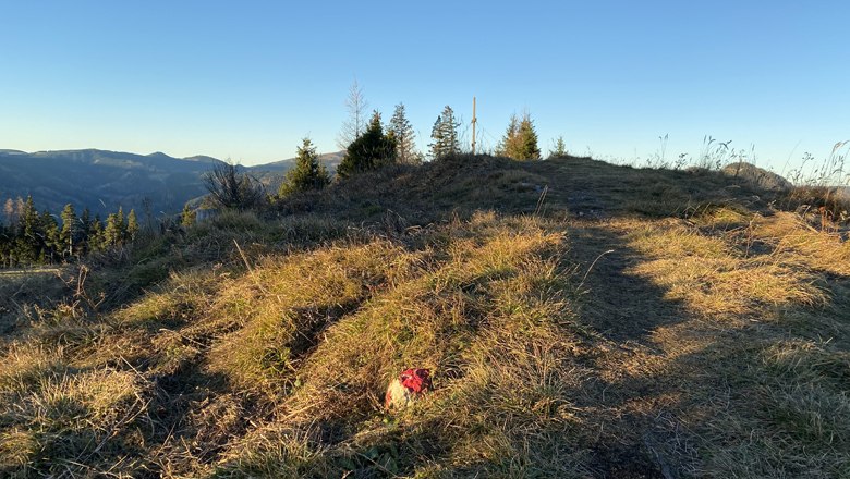 Am Weg zum Gipfelkreuz, © Wiener Alpen