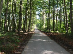 im sogenannten Lusthausweg in Richtung zur B 32, © Gemeinde Jaidhof