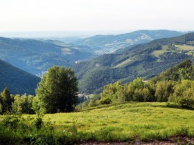 Ausblick vom Muckenkogel, © Mostviertel