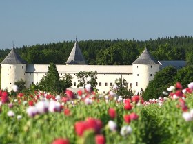 Schloss Ottenschlag, © © Martin Rehberger