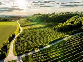 WAGARM, © Donau Niederösterreich - Kamptal-Wagram-Tullner Donauraum