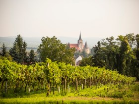 Blick auf Pulkau, © Astrid Bartl