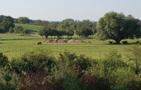 Wegbegleiter Bad Pirawarth, © Weinviertel Tourismus GmbH