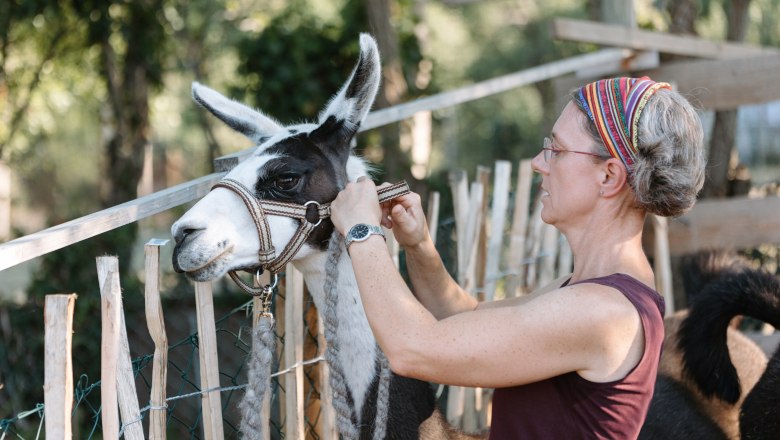 Lamas hautnah erleben, © Lama2go / Melina Baumgartner