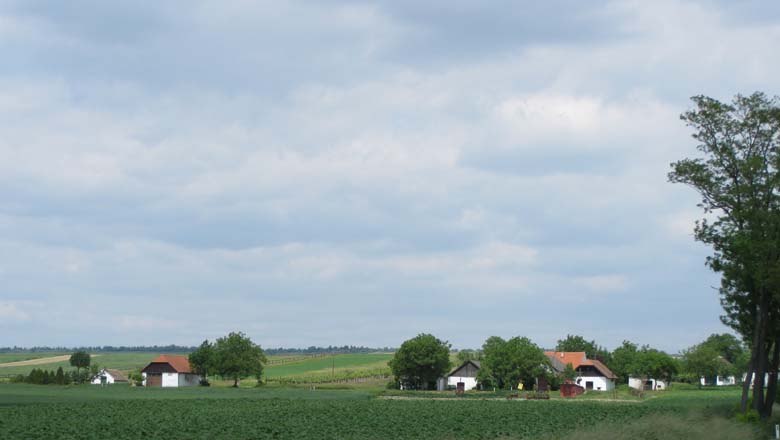 Kellergasse Großkadolz, © Gemeinde Seefeld-Kadolz