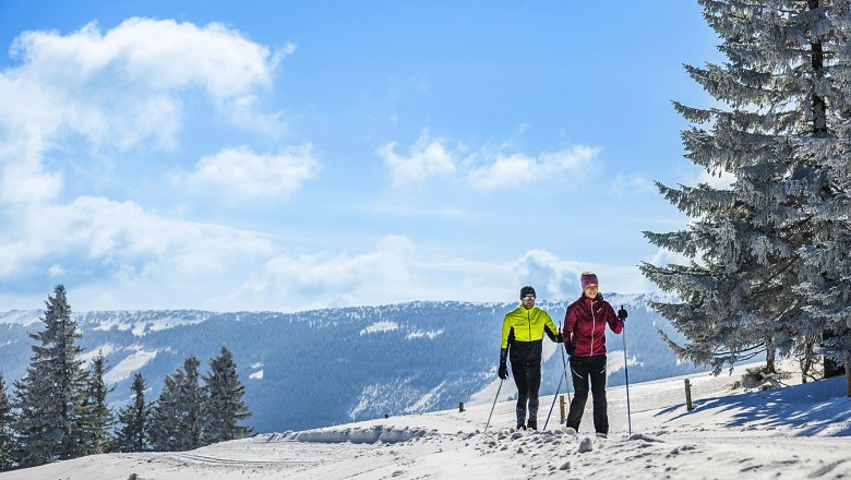 Wechsel-Panoramaloipe, © L&WSV Kirchberg/www.fueloep.com