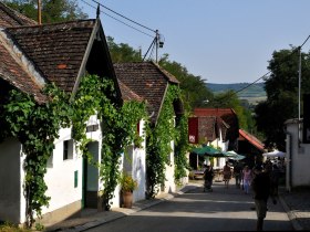 Kellergasse Haugsdorf, © Weinviertel Tourismus / Mandl