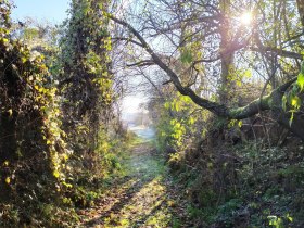 Ehret den Sock-Wanderweg, © Irene Tagwerker