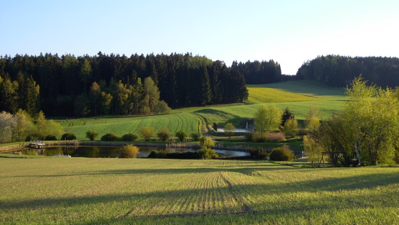 Ausflugsziel Badeteich, © Gemeinde Gastern