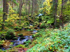 Lohnbachfall, © Waldviertel Tourismus